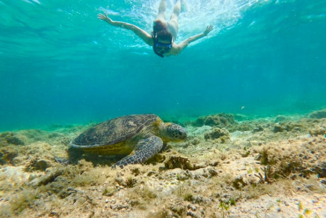 奄美大島【シュノーケリング】奄美ブルーの海を堪能しよう！当日予約可能！ドローン空撮・GoPro動画で撮影する写真の無料プレゼントあり（90分）※お一人様も可能