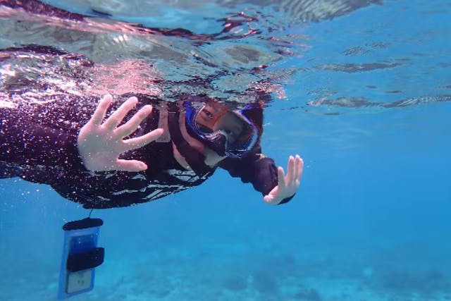 【奄美大島・シュノーケル】奄美ブルーの海を堪能しよう！当日予約可能！ドローン空撮・GoPro動画・水中カメラで撮影する写真の無料プレゼントあり（60分）