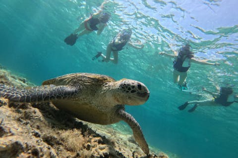 奄美大島【シュノーケリング】奄美ブルーの海を堪能しよう！当日予約可能！ドローン空撮写真・GoPro動画無料プレゼント！（60分）※お一人様も可能