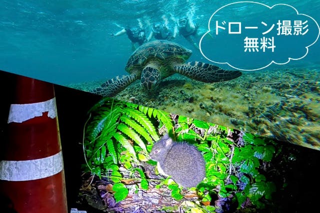 ＜お得プラン＞奄美大島【シュノーケル＋ナイトツアー】セットプラン！当日予約可能！口コミ投稿で撮影データ無料プレゼントあり（180分）※お一人様も可能