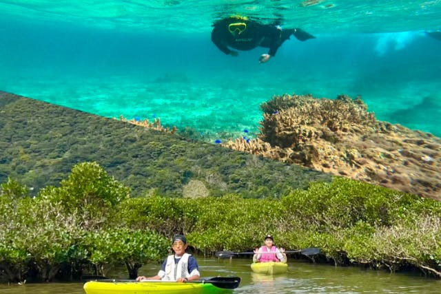 ＜お得プラン＞奄美大島【シュノーケル＋マングローブカヌー】セットプラン！当日予約可能！ドローン空撮写真・GoPro動画無料プレゼント！（120分）※お一人様も可能