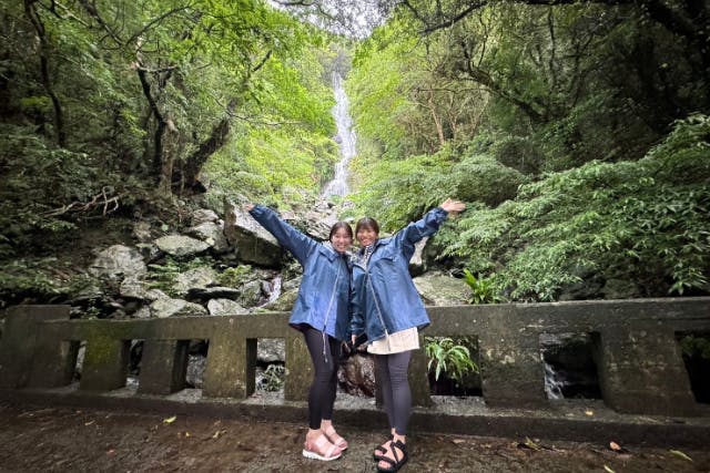 奄美大島【ジャングルツアー】日中に大自然を満喫ジャングルツアー！当日予約可能！写真の無料プレゼントあり（120分）※お一人様も可能