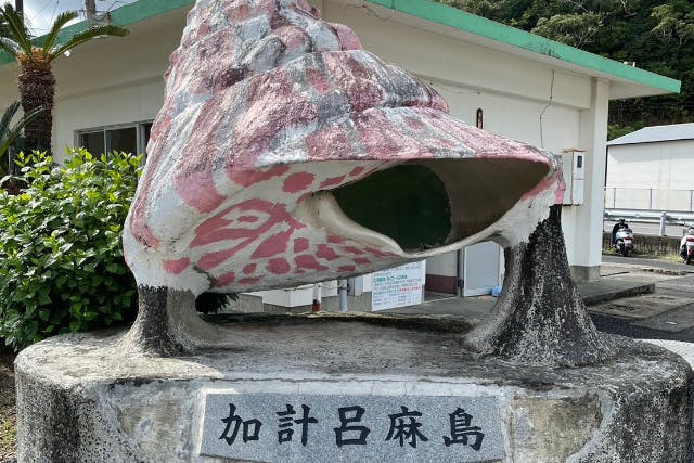 奄美大島【加計呂麻島ツアー】（ナイトツアー・シュノーケリング・お弁当付）世界遺産奄美大島の自然を贅沢に堪能！オーダーメイドツアー！口コミ投稿で撮影データを無料プレゼント♪（12時間）※お一人様も可能