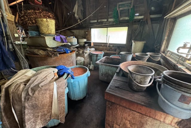 奄美大島【南コース】ガイドツアー★ドローン空撮写真の無料プレゼントあり★＜紬泥染公園・三太郎の里・フナンギョの滝・モダマの自生地・マングローブ見学＞※お一人様も可能