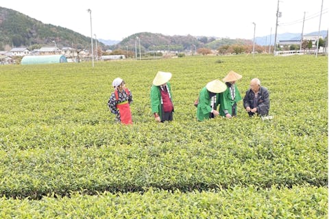 関西 工場見学プラン一覧 日本最大の遊び 体験 レジャー予約サイト アソビュー