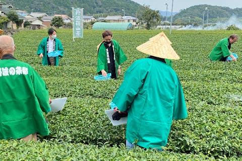 【兵庫・丹波篠山・茶摘み】青々とした茶葉を摘み取ろう！丹波篠山茶摘み体験《5・7・9月限定！》