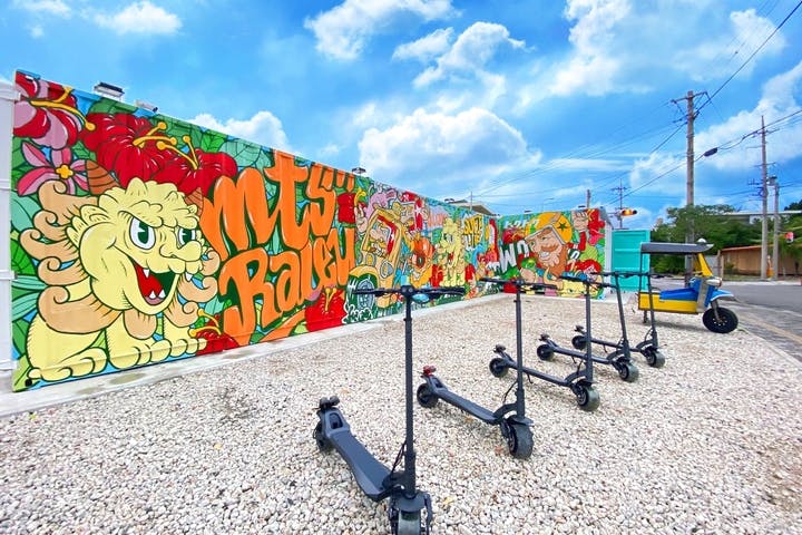 石垣島レイリー