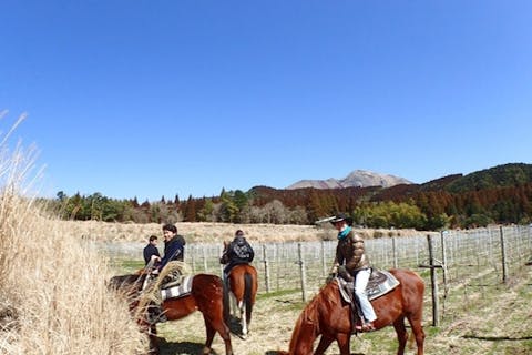 【宮崎・都城・ホーストレッキング】霧島の大自然を楽しむホーストレッキング60分
