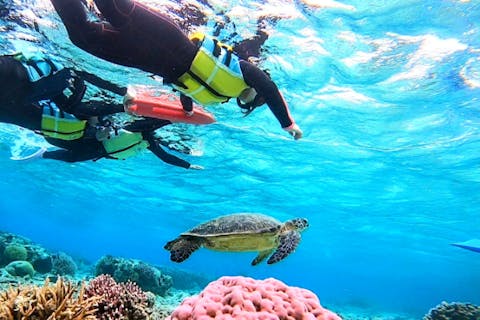 【沖縄・座間味・シュノーケリング】海亀とのなんと遭遇率はほぼ100%！何よりも海亀さんに出逢う事を最優先にしたツアーとなっております。レンタル器材は1日利用OK♪