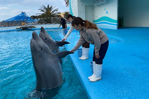 全国の遊園地 テーマパーク 公園 一覧 遊び予約 レジャークーポン アソビュー