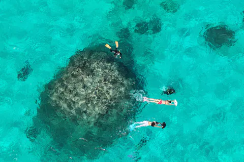 【沖縄・石垣島】幻の島上陸ツアー（1.5ｈ、3歳から参加OK）