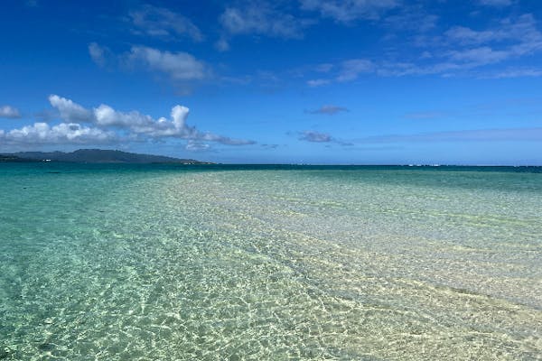 海が見えるバス停 ジオラマ - おもちゃ