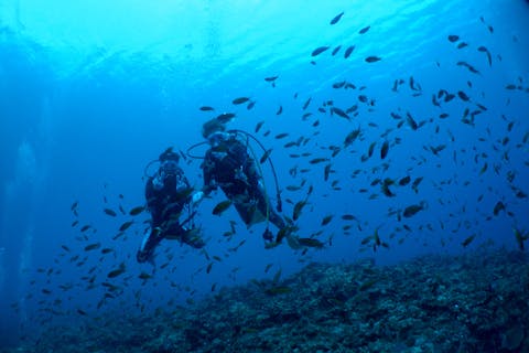 【沖縄・宮古島・体験ダイビング】たっぷり海を堪能できる！2ダイブ。綺麗な海中をのんびり楽しもう