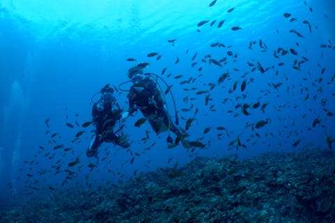 【沖縄・宮古島・体験ダイビング】お手軽！半日ビーチ体験ダイビング貸切プラン（1ダイブ）