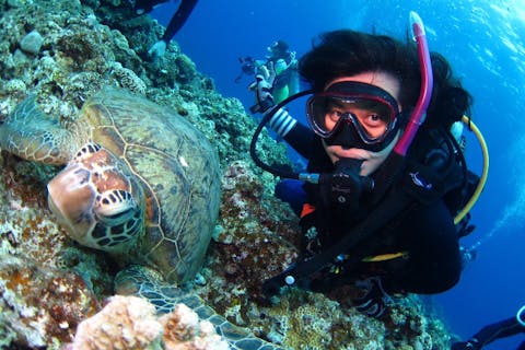 【沖縄・青の洞窟・ライセンス取得】少人数制でリラックスしながらライセンス取得！