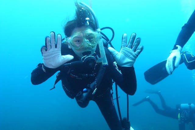 【神奈川・真鶴・体験ダイビング】海の世界を体験！水中の楽しさを知る体験ダイビング