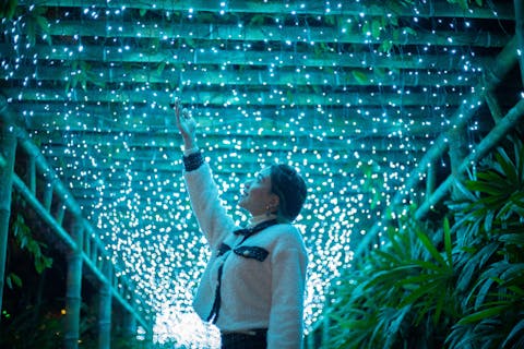 【沖縄・星空フォト】星空photoと宙さんぽin 東南植物楽園／参加者毎に星達をバックに撮影／割引延長中　天候不良の場合：日程変更or全額返金　当日予約OK