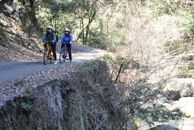 山口・周南～岩国・ダウンヒル】自然を満喫！電動クロスバイクで渓谷を