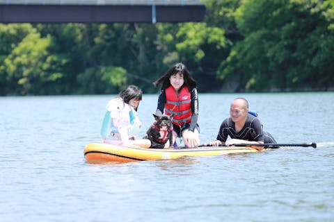 【高知・香美・SUP】穏やかな川で初心者でも安心☆旅の合間におススメ☆サクッとSUP（1時間）