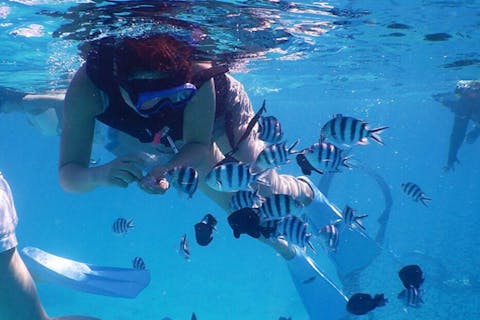 【沖縄・石垣・シュノーケリング】360度絶景の島へGO！シュノーケリングツアー