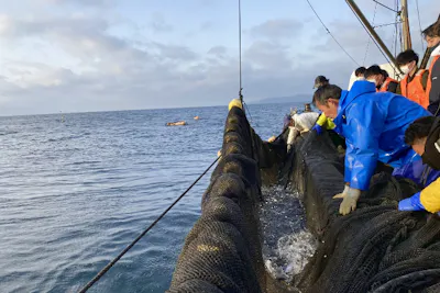三重・熊野・職業体験】本物の漁師さんと定置網漁体験！ とれたて魚の