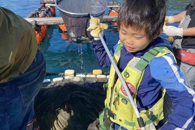 【三重・熊野・職業体験】本物の漁師さんと定置網漁体験！ 世界に１つだけの魚拓（ぎょたく）づくり付きプラン