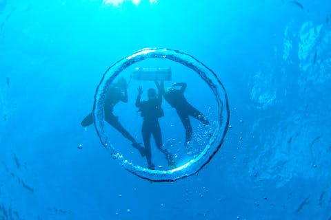 奄美大島南部・加計呂麻島【海の世界を観察！2時間ボートシュノーケル】