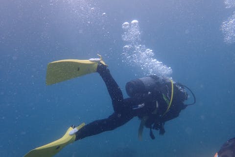 【和歌山・日高・ダイビング】ブランクダイバー向けリフレッシュコース（日高エリア）