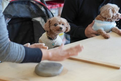 【愛知県・豊橋・手びねり】ワンちゃん、ネコちゃんの手形足形入りのオリジナルグッズをつくろう！