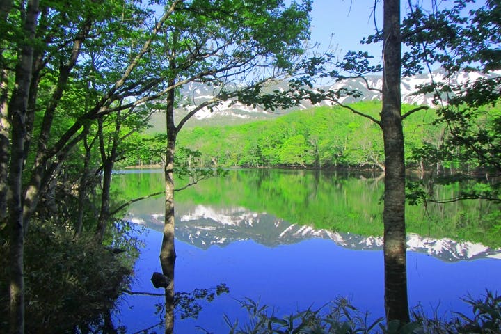 知床ツーリスト