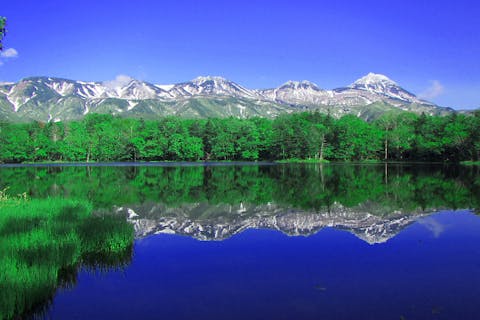 北海道・知床・ガイドツアー】知床五湖ハイキング・圧倒的大自然を自然ガイドと歩く半日ツアー｜アソビュー！