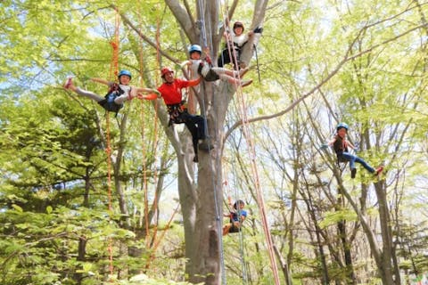【栃木・那須・ツリークライミング】ワクワク感と爽快感を体験！ツリークライミング