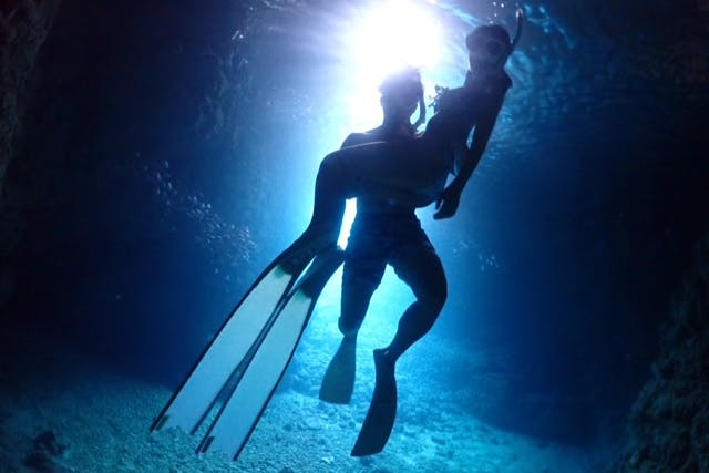 【沖縄・青の洞窟・スキンダイビング】素敵な海中世界を手軽に楽しむスキンダイビング