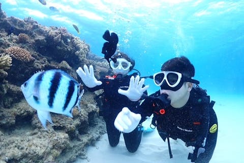 【沖縄・水納島・ファンダイビング】魅力溢れるポイントへご案内！ファンダイビング