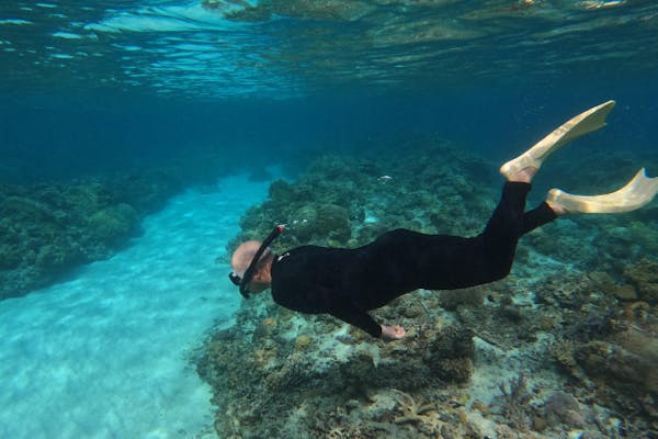 沖縄・座間味・ボートシュノーケルツアー】手ぶらOK♪写真データ無料で