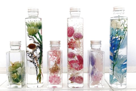 琉球*海花のたね　Loofah ハーバリウム　レジン　花材 琉球*海花のたね Loofah ハーバリウム レジン 花材 【公式通販】