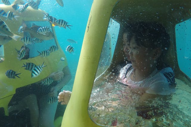 【沖縄・名護・水中スクーター】透明度抜群の海でお魚の餌付けを体験！潜水スクーター