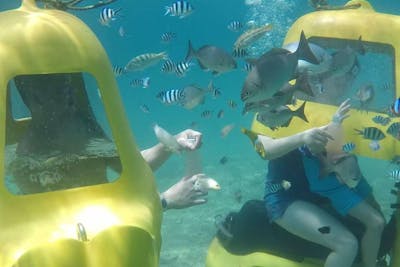 沖縄 名護・潜水スクーター】みんな夢中！透明度抜群の海でお魚の