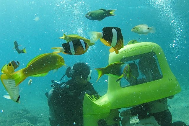 【沖縄・名護・水中スクーター】透明度抜群の海でお魚の餌付けを体験！潜水スクーター