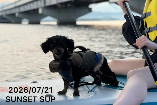 Y1) 【守山｜びわ湖大橋】初心者歓迎の琵琶湖SUP90分♪少人数でゆったり・愛犬同伴OK♪ 初心者様/おひとり様/女性もオススメ