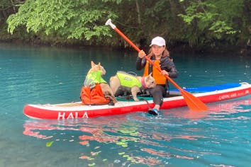 群馬・四万湖・SUP】ワンちゃんと四万湖で1組だけのプライベートサップ