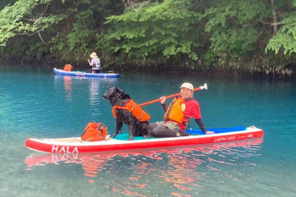 群馬・四万湖・SUP】ワンちゃんと四万湖で1組だけのプライベートサップツアー｜アソビュー！