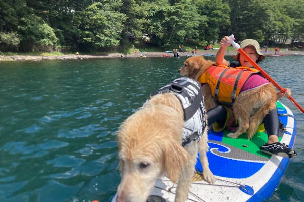 栃木・中禅寺湖・SUP】ワンちゃんと一緒に中禅寺湖の大自然で1組限定 