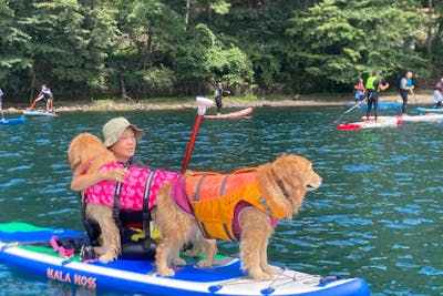 栃木・中禅寺湖・SUP】ワンちゃんと一緒に中禅寺湖の大自然で1組限定 