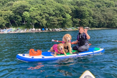 【栃木・中禅寺湖・SUP】ワンちゃんと一緒に中禅寺湖の大自然で1組限定プライベートサップツアー｜アソビュー！