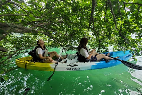 【徳島・三好・マリンスポーツ】SUP含む5種類OK！穏やかな湖で水あそび1日体験