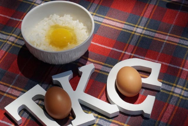 【広島・大朝・サイクリング】美味しい卵かけごはんが食べられる！E-BIKEツアー