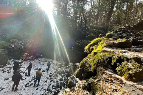 【山梨・富士河口湖・ハイキング】樹海探検！神秘の森・青木ヶ原樹海ハイキングツアー