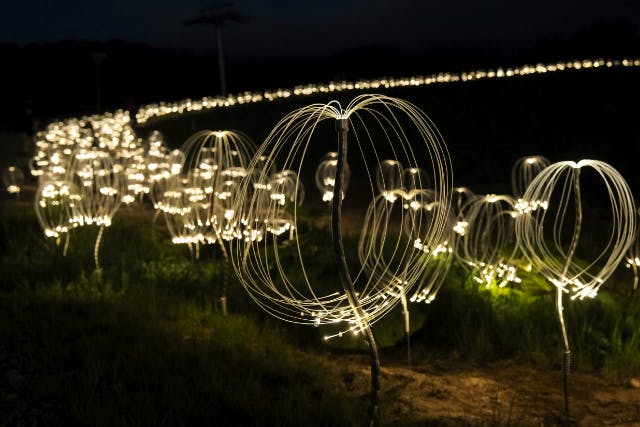 【北海道・ニセコ・アートイベント】大規模な光のアート「マウンテンライツ」