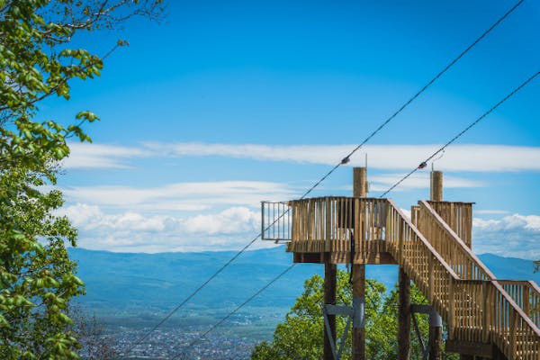 樹洞 北海道発 大きいです(^^) 樹洞 北海道発 大きいです(^^)